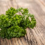 Curly parsley