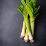 Farm fresh organic leek