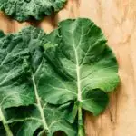 Fresh Collard leafs