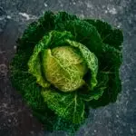 Organic Savoy Cabbage