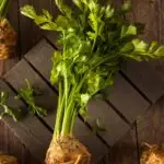 Raw Organic Celery Root