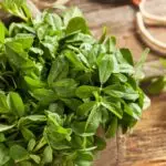 Raw Organic Fenugreek Methi Leaves